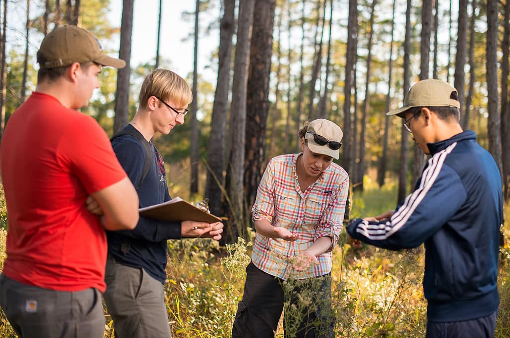 Three male students and Dr. Watson leaning over a plant taking notes