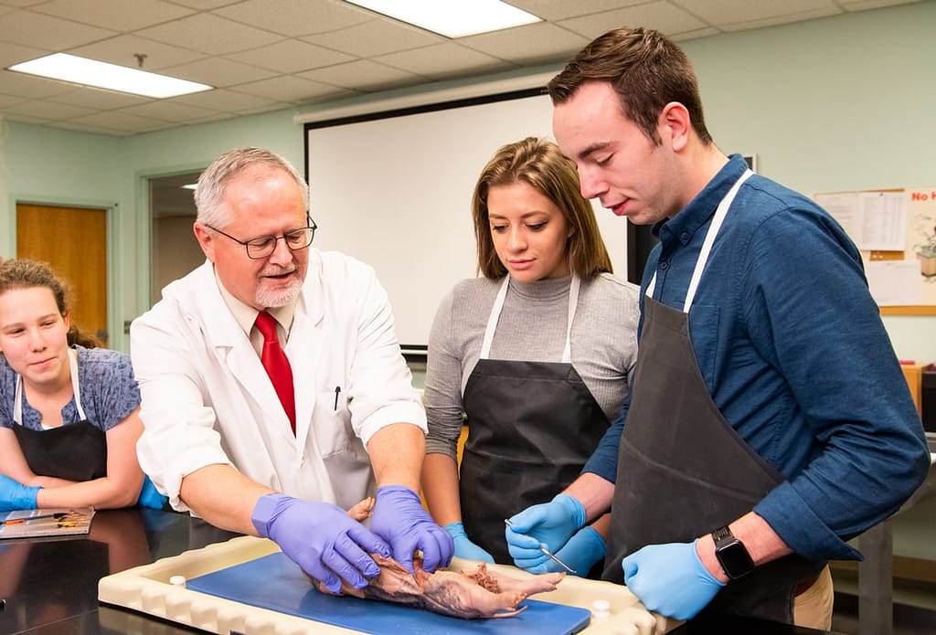 Dr. Robbins and students dissecting an animal in a lab classroom.