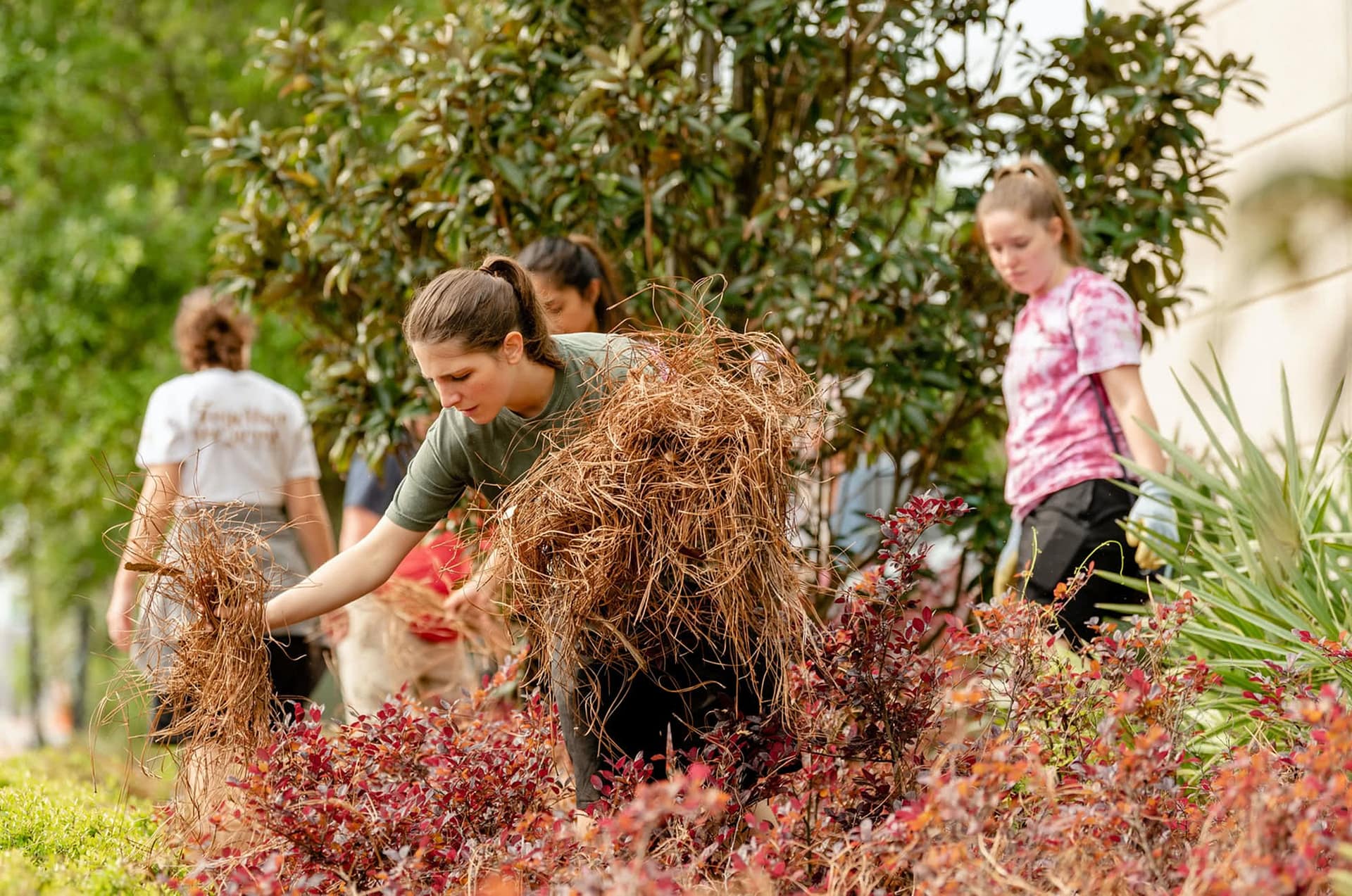 Students clear brush during serve pensacola
