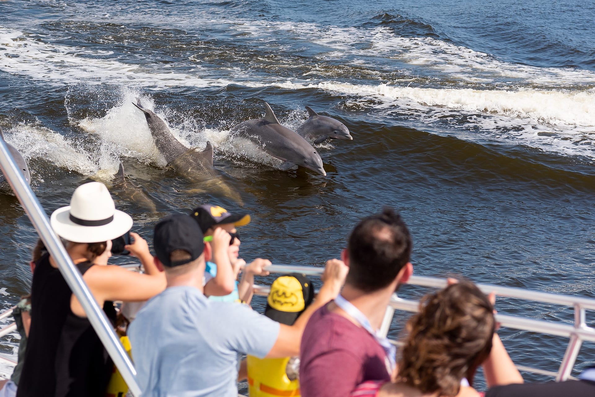 Alumni on a dolphin cruise.