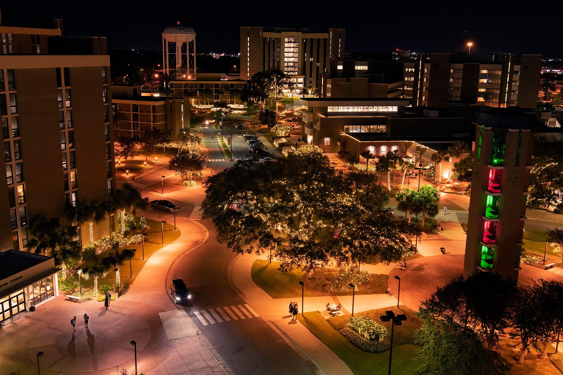 Campus Christmas lights