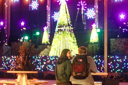Christmas Lights Display