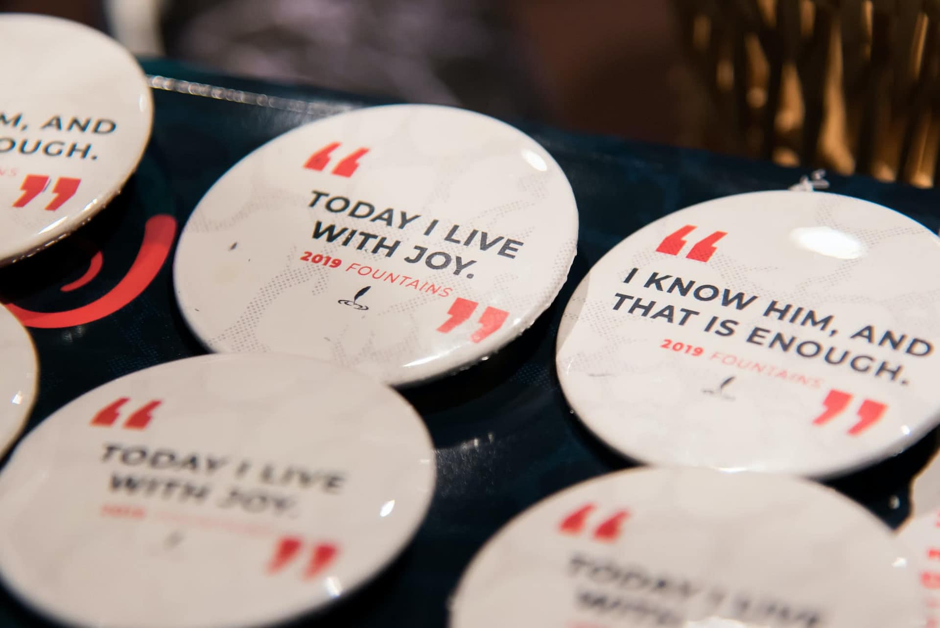 "Today I Live With Joy" Fountains 2019 buttons.