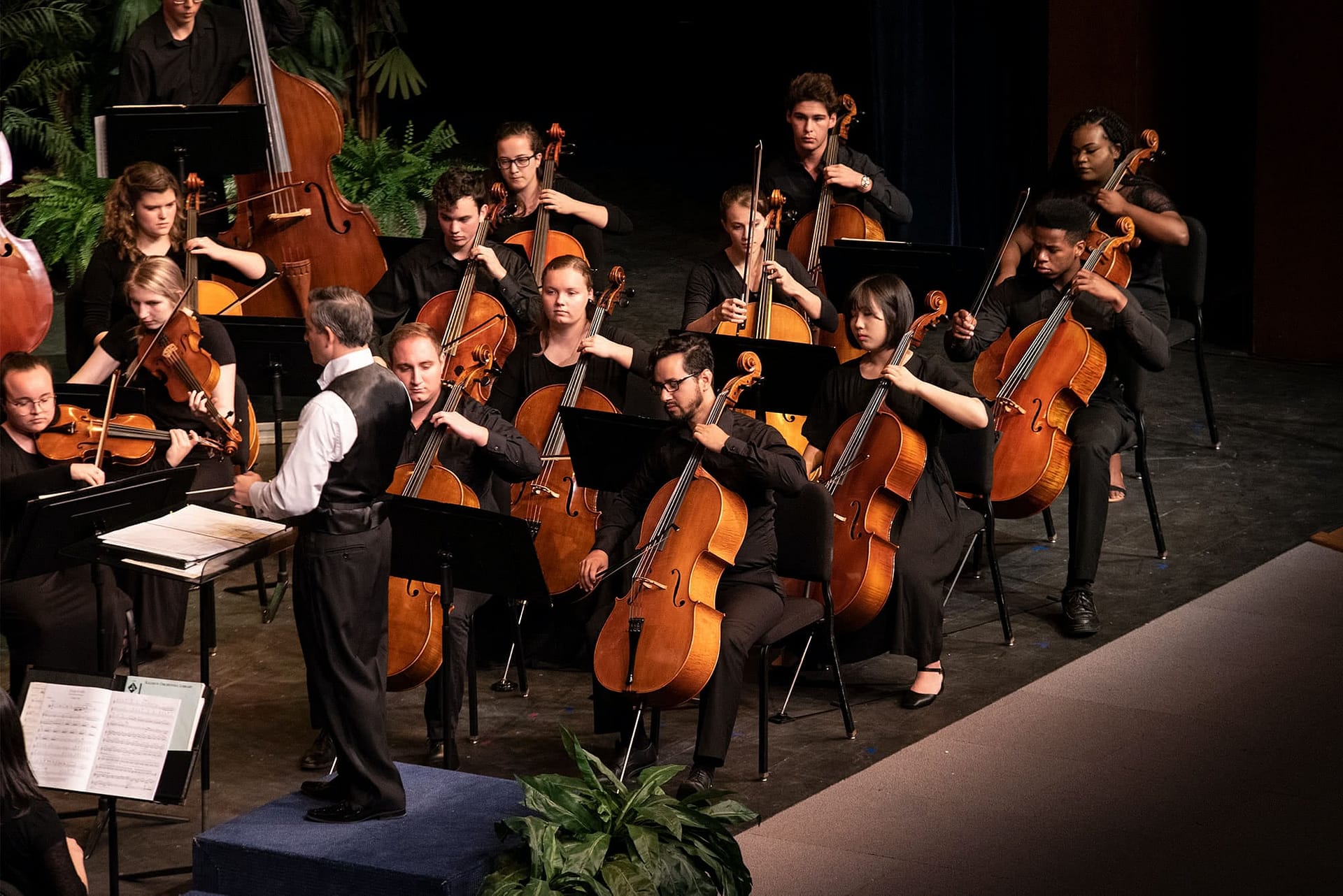 Students playing string instruments during the Concert on the Green.