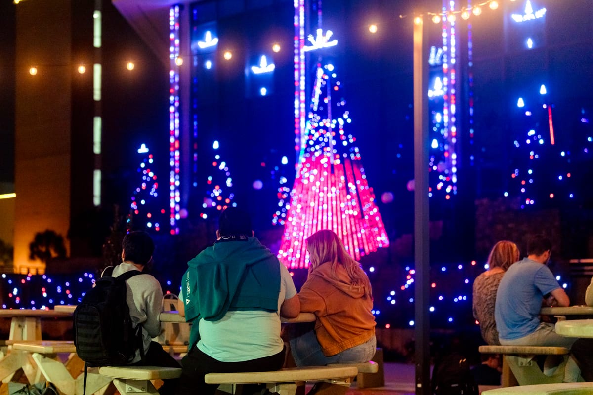 christmas-lights-decor2 Campus Christmas lights Display