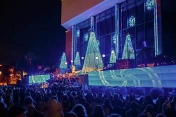 Christmas Lights Celebration