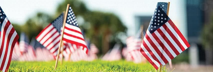 American flags on a lawn