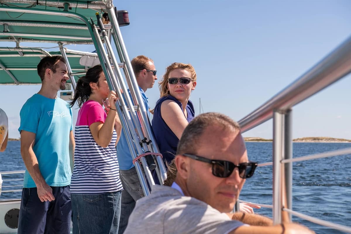 Alumni Homecoming Dolphin Cruise
