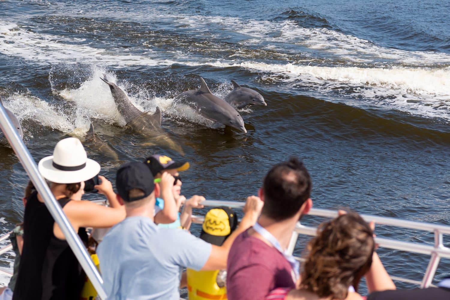 dolphin-cruise Alumni on a dolphin cruise.