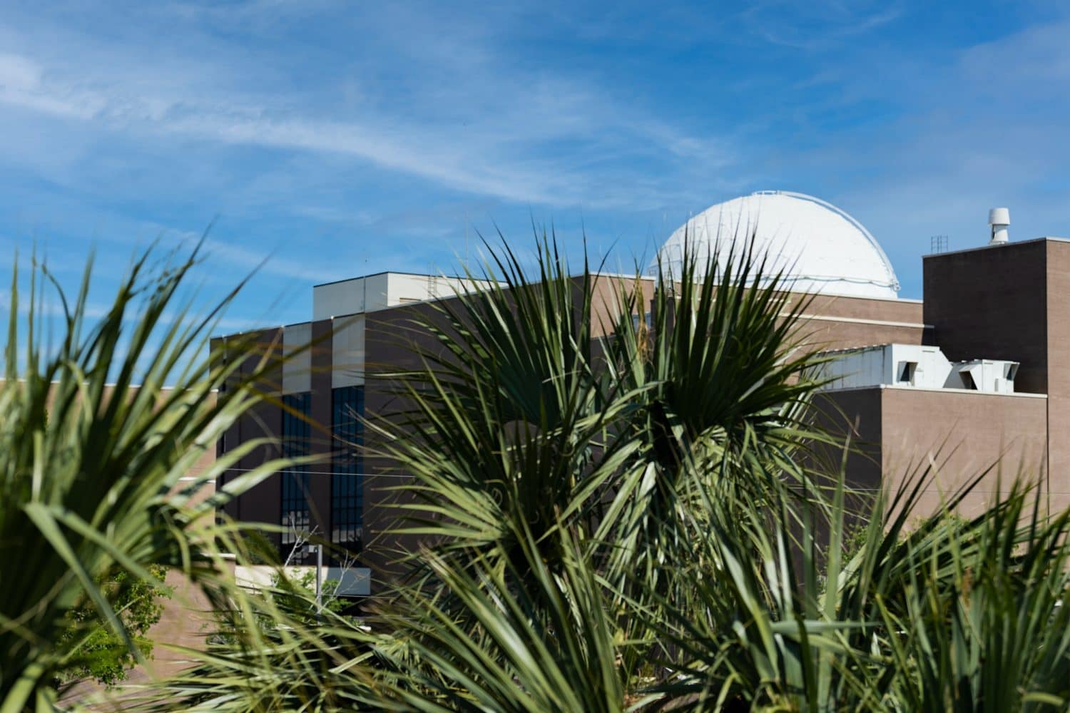 plantatarium-mk Planetarium- Mackenzie building