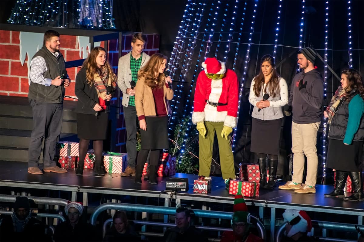 Christmas Lights Show