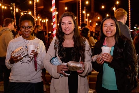 Christmas Lights Concessions