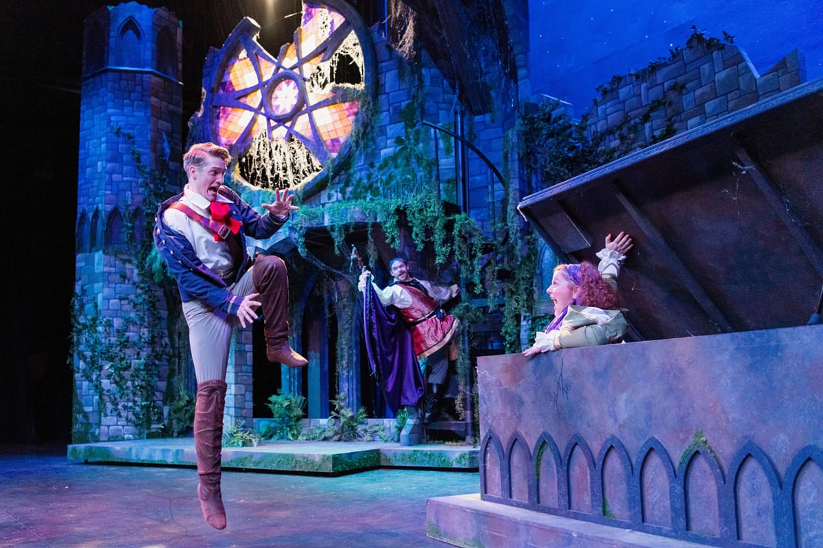 fas-pirates-9 Fine Arts Series: The Pirates of Penzance
