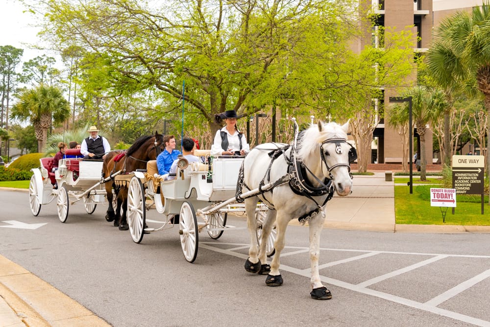 Carriage Rides
