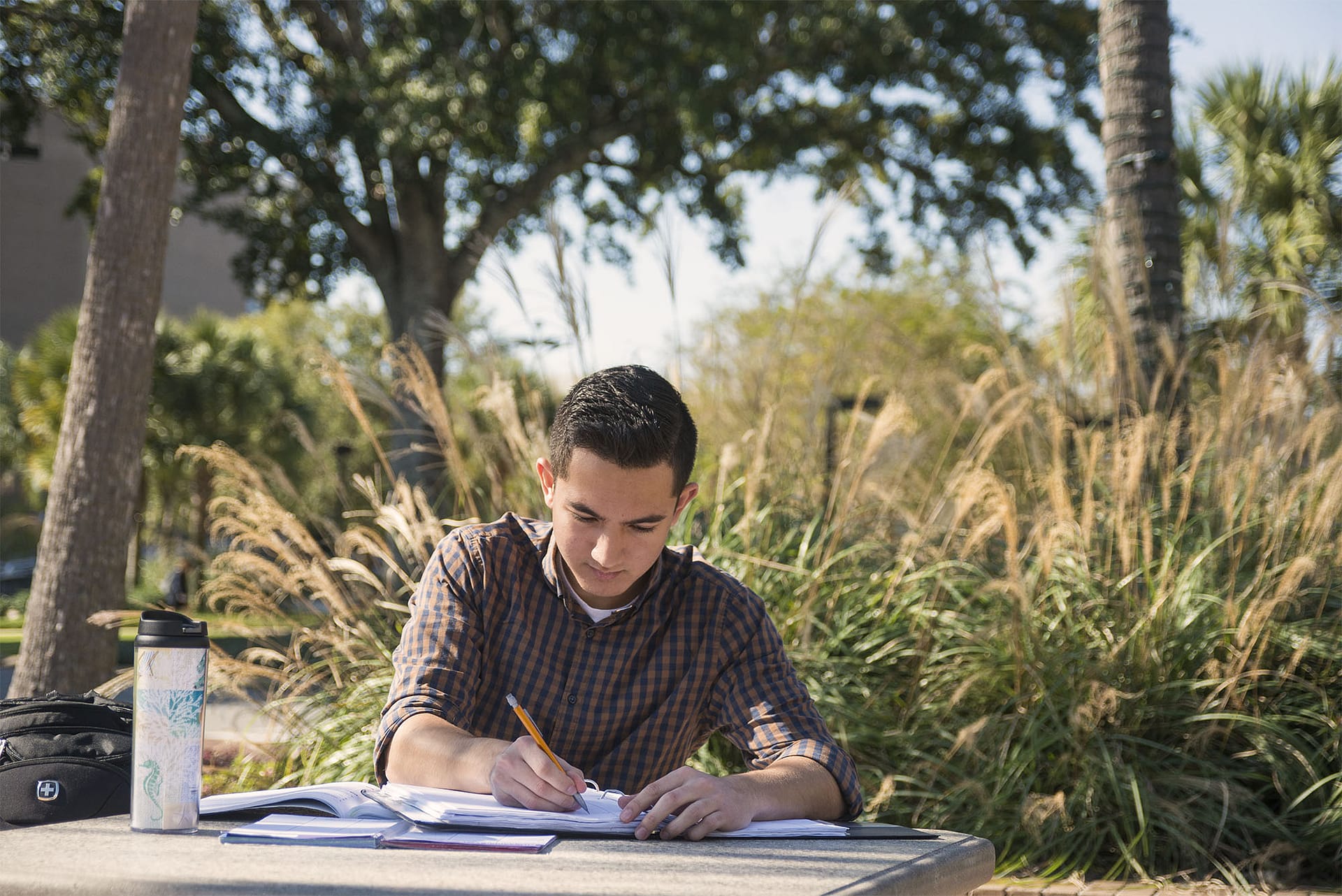 Man studying outside.