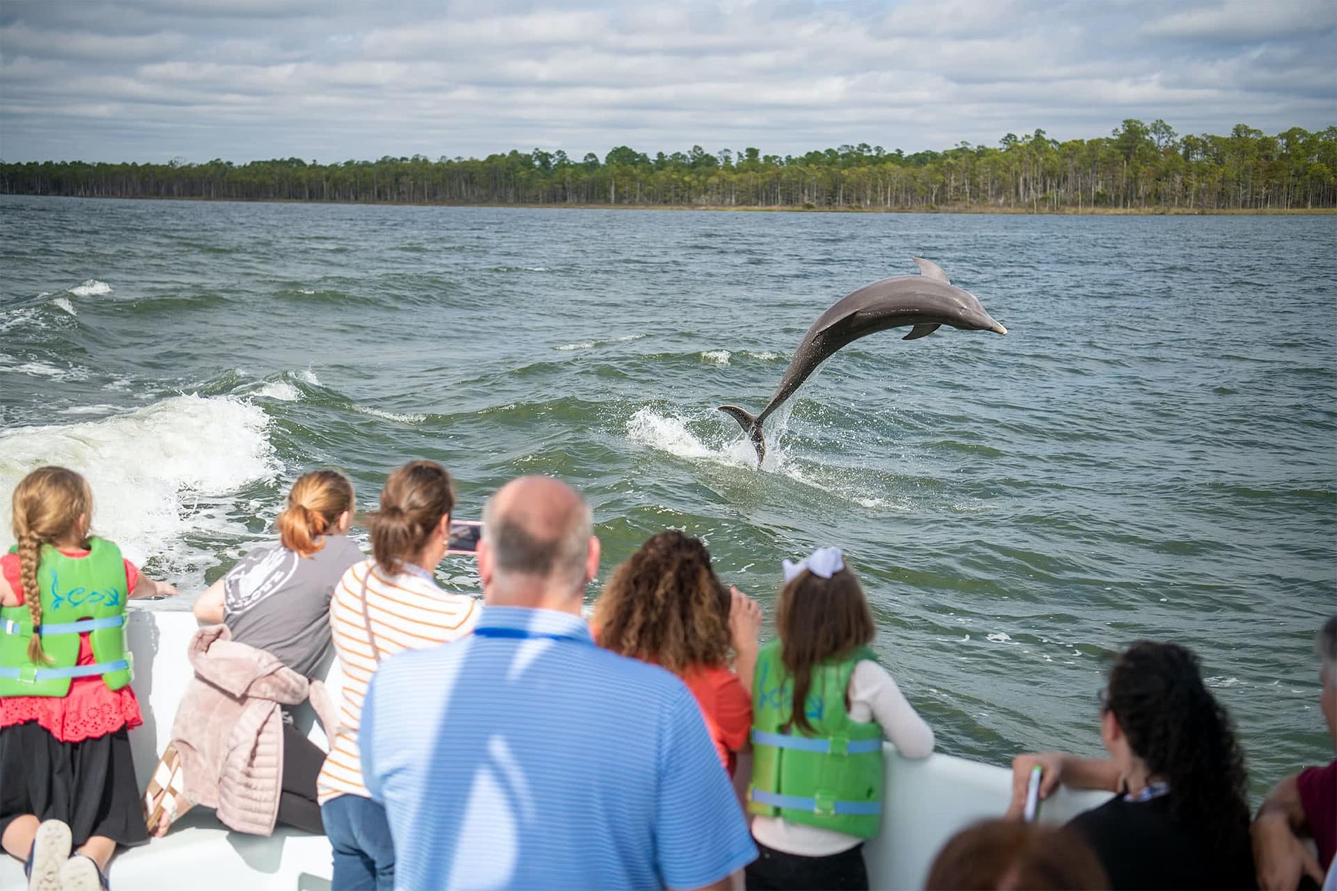 PCC alumni watching a dolphin breaching. 