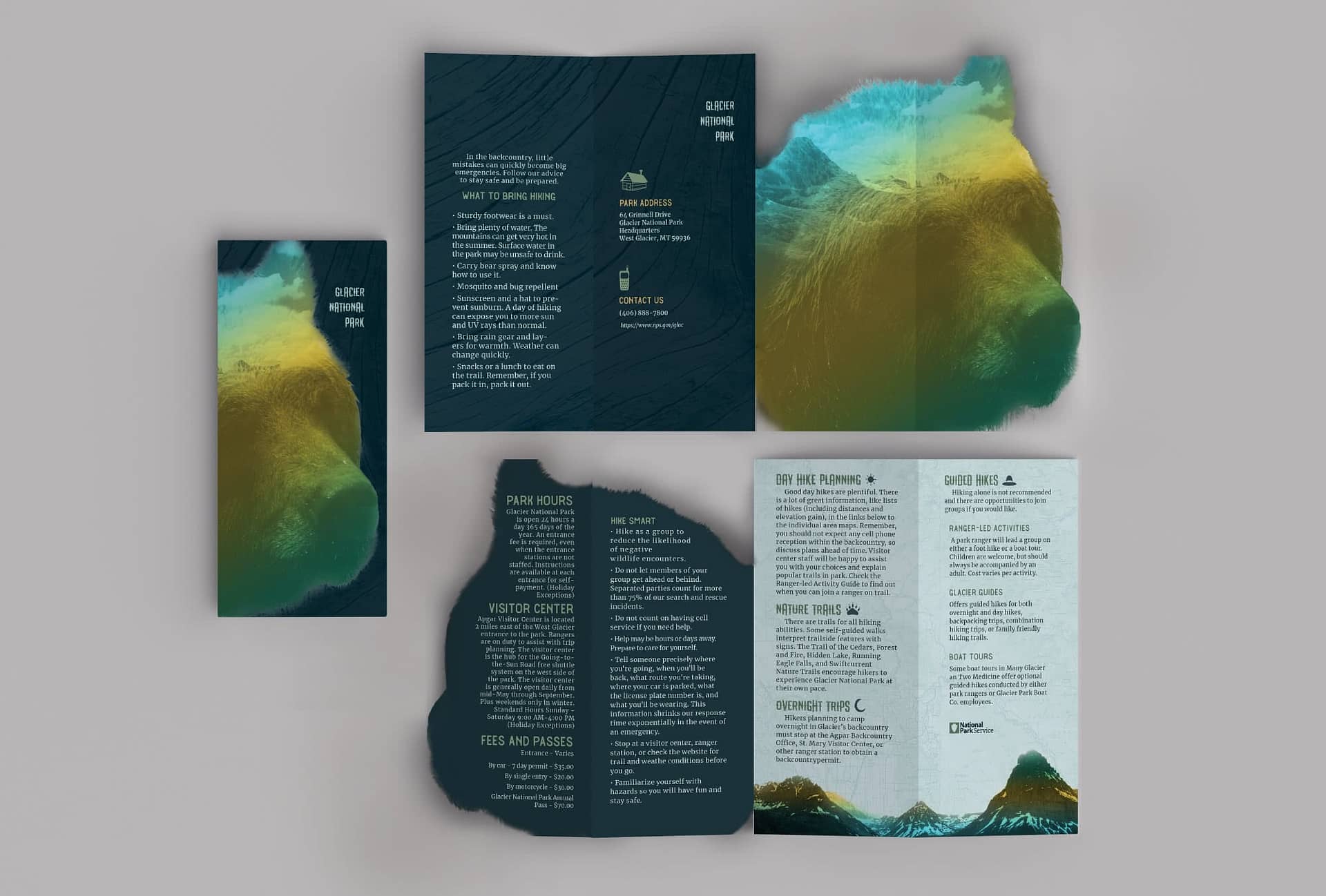 Abigail Chiaradia's brochure design