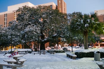 Pensacola's Snow Day