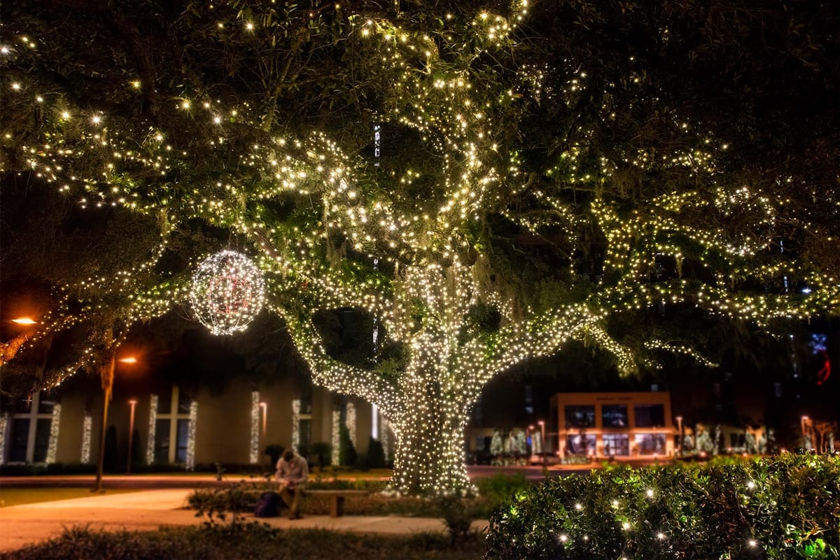 Tree Christmas decorations on PCC Campus