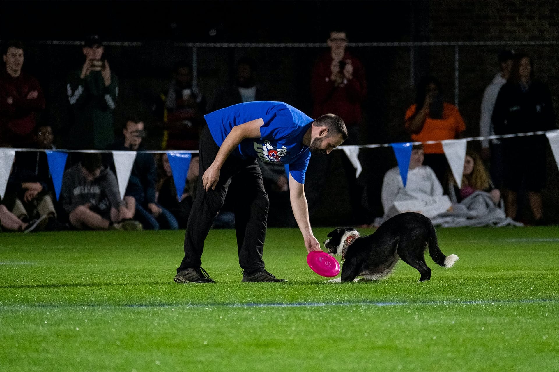 A male trainer from Stunt Dog Productions plays with a frisbee with a black and white dog