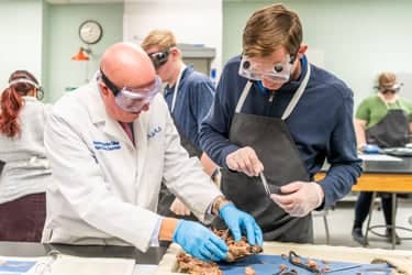 Dr. Grant De Jong helping a student in the Zoology lab.